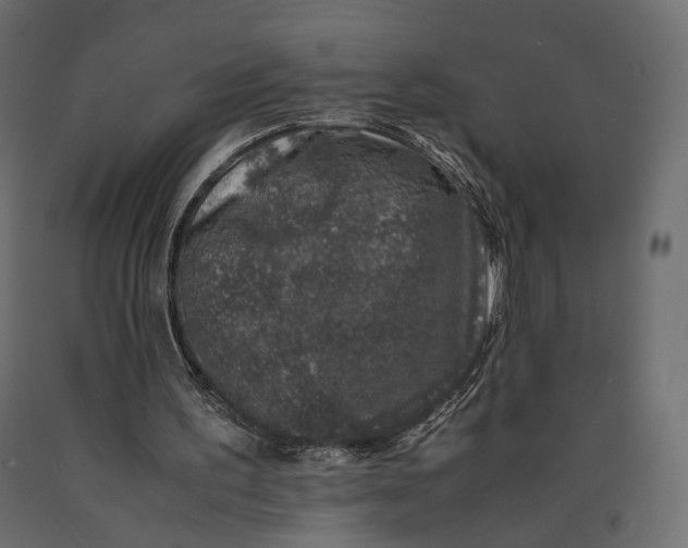 X0000090450195200708031225