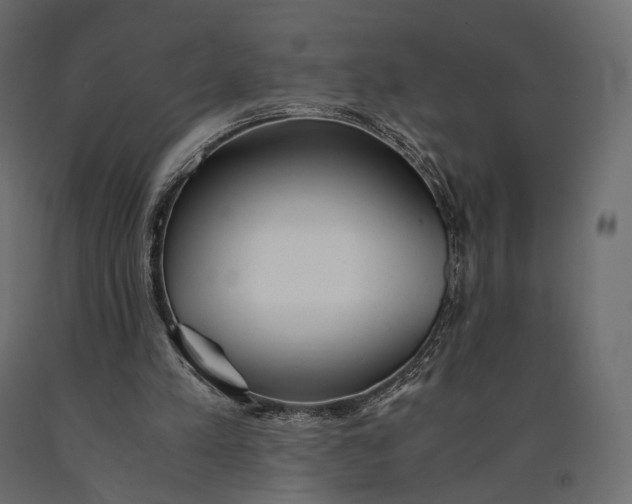 X0000090450197200708031225