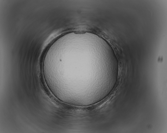 X0000090450198200708031225