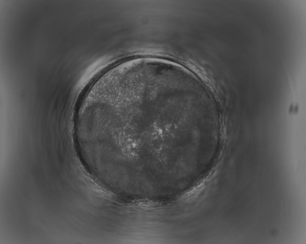 X0000090450199200708031225