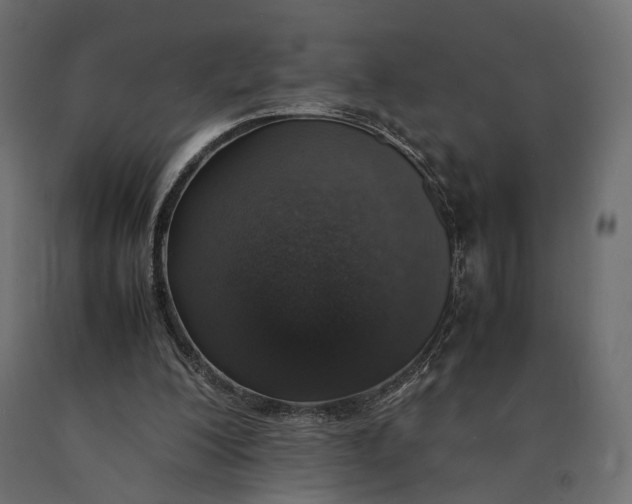 X0000090450200200708031225