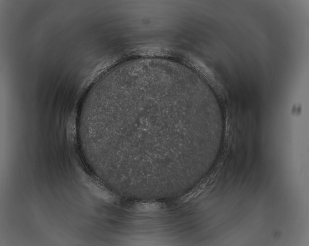 X0000090450202200708031225