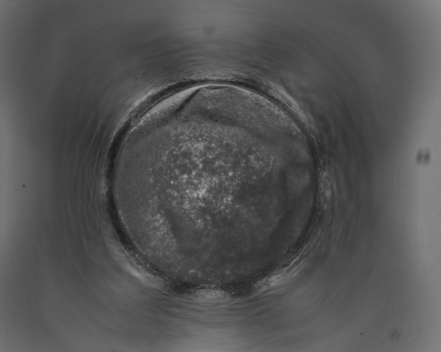 X0000090450203200708031225