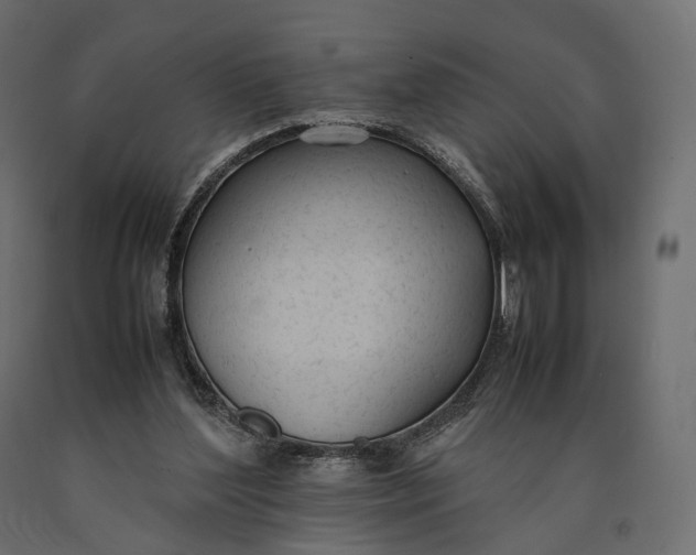 X0000090450204200708031225