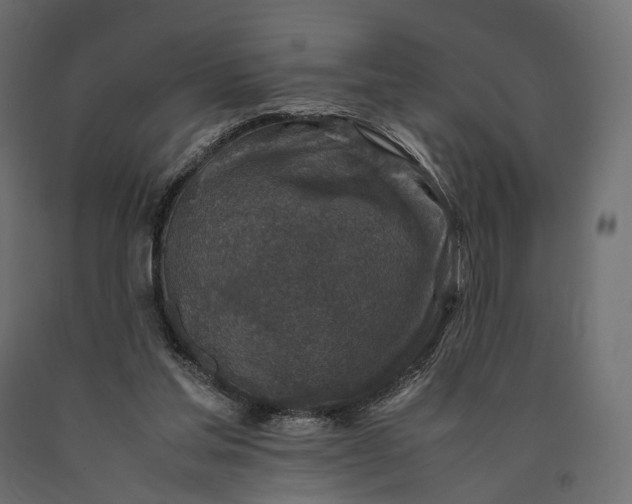 X0000090450205200708031225