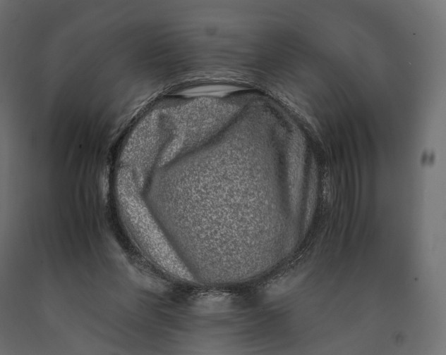 X0000090450206200708031225