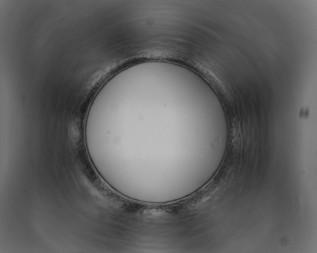 X0000090450208200708031225