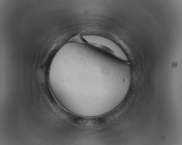 X0000090450209200708031225