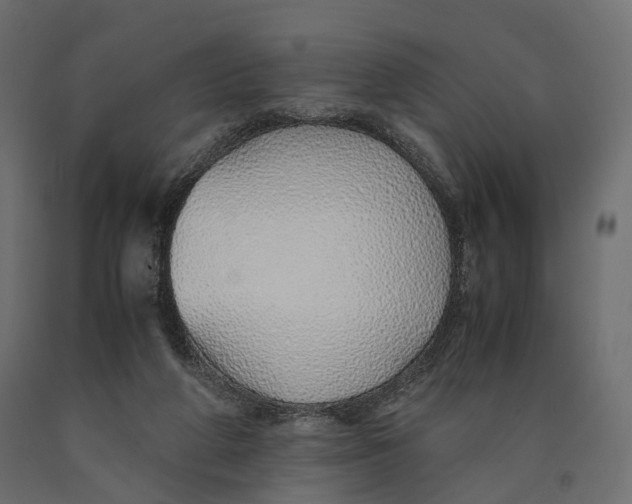 X0000090450210200708031225