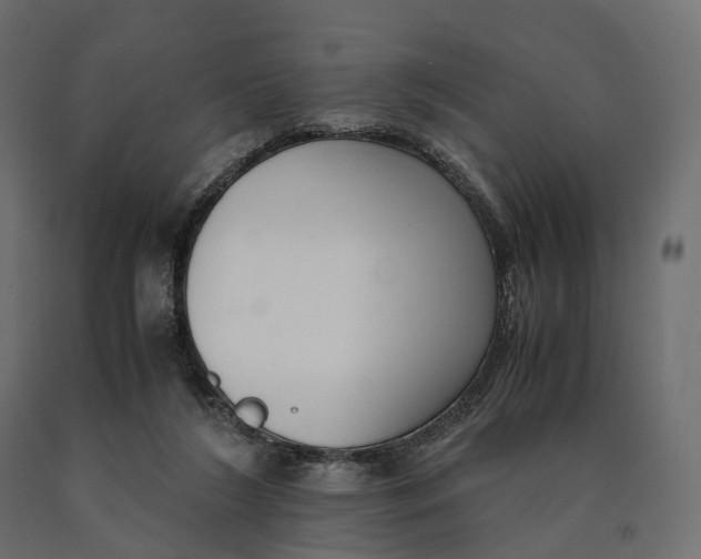 X0000090450212200708031225