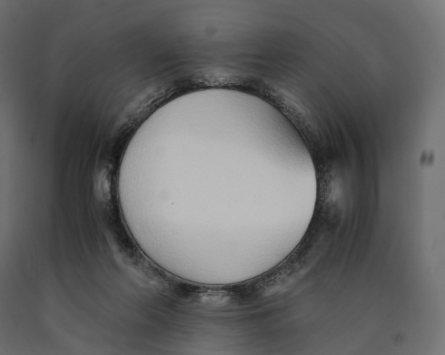 X0000090450214200708031225