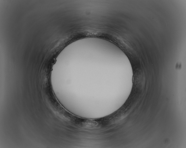 X0000090450215200708031225