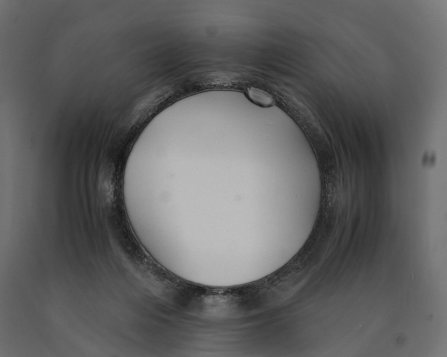 X0000090450216200708031225