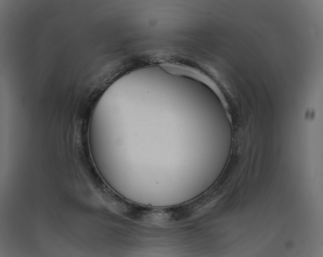 X0000090450217200708031225