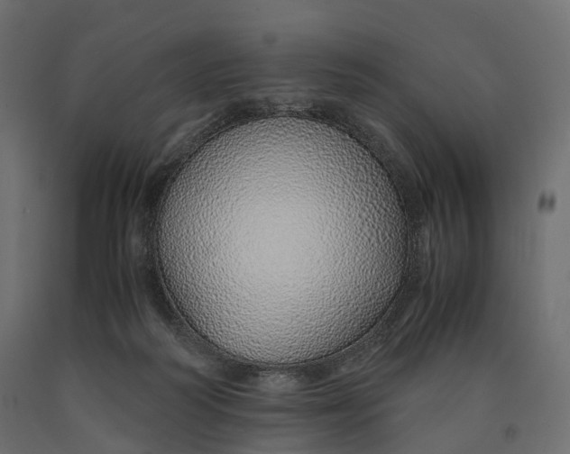 X0000090450218200708031225