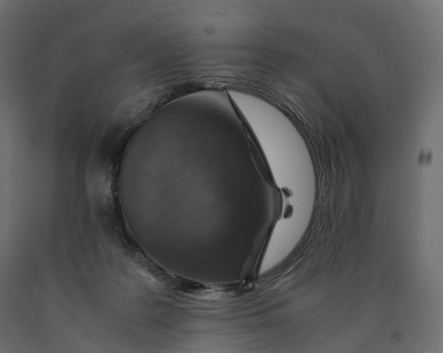 X0000090450219200708031225