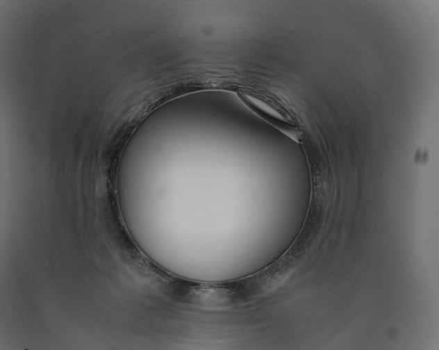 X0000090450221200708031225