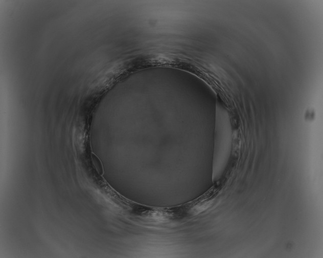 X0000090450223200708031225