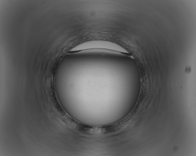 X0000090450225200708031225