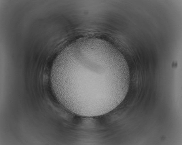 X0000090450226200708031225