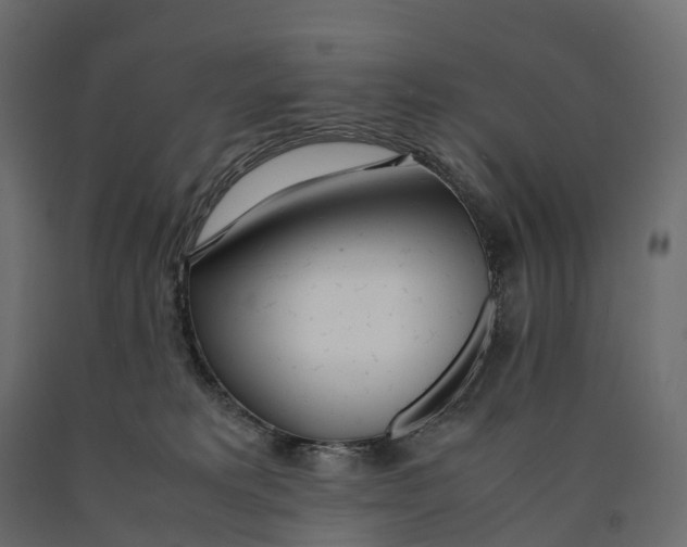 X0000090450229200708031225