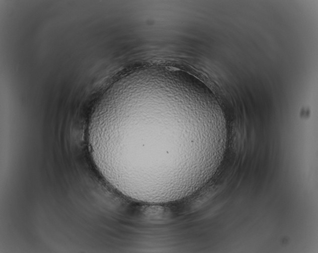 X0000090450230200708031225