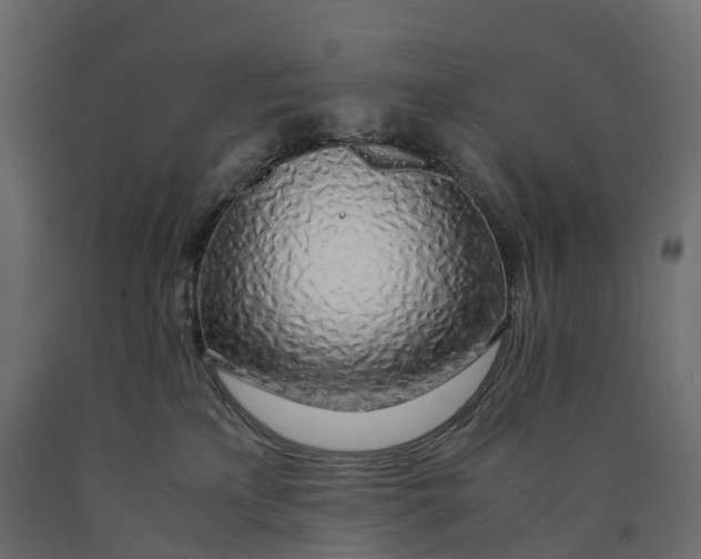 X0000090450233200708031225