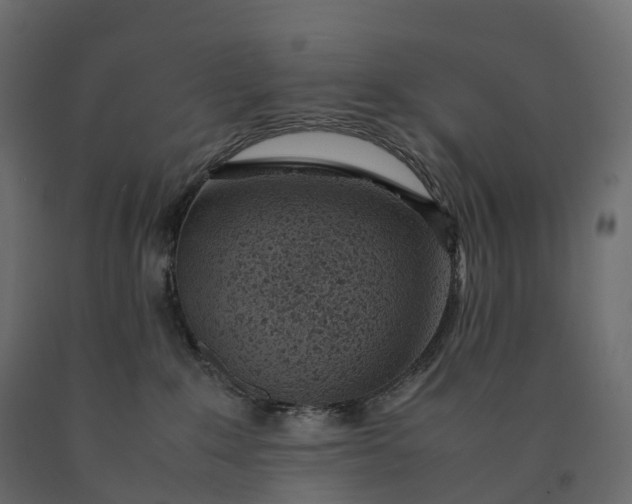 X0000090450235200708031225