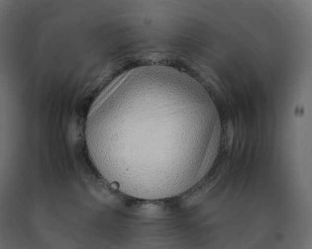 X0000090450236200708031225