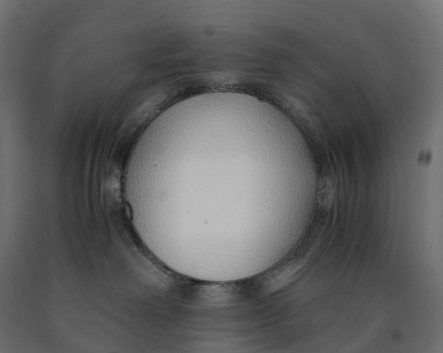 X0000090450238200708031225