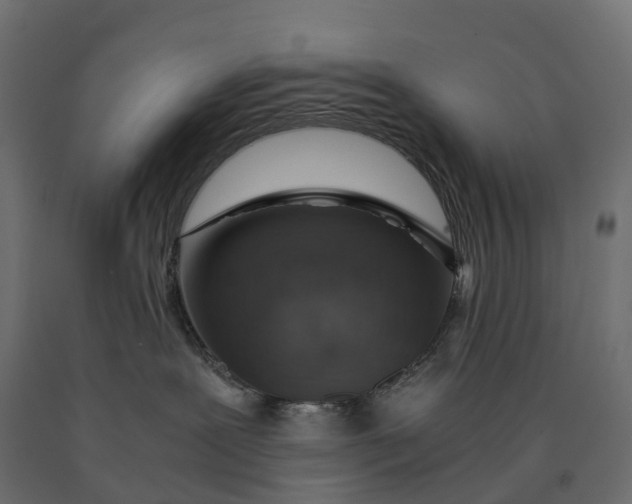 X0000090450239200708031225