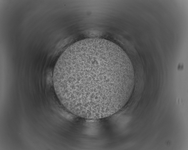 X0000090450240200708031225