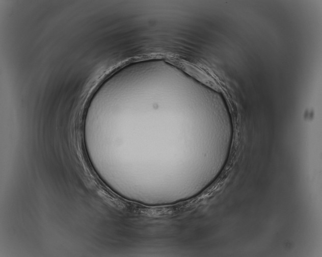 X0000090450241200708031224