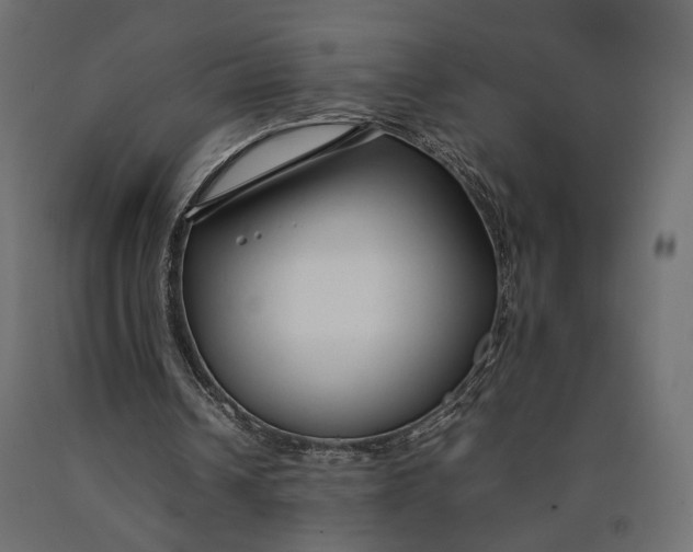 X0000090450242200708031224