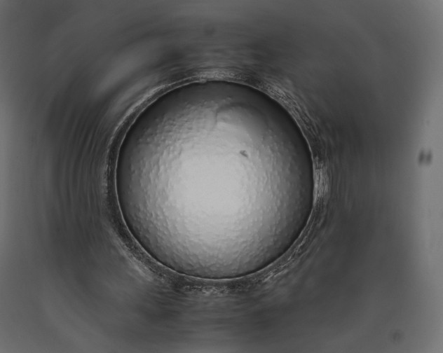 X0000090450243200708031224