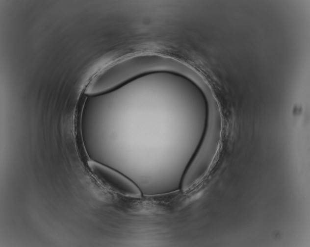 X0000090450244200708031224