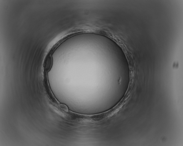 X0000090450246200708031224