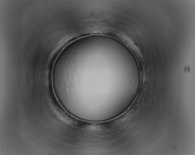 X0000090450250200708031224