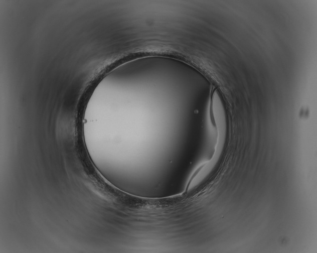 X0000090450252200708031224