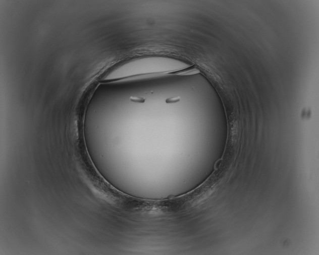 X0000090450254200708031224