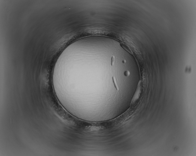 X0000090450255200708031224