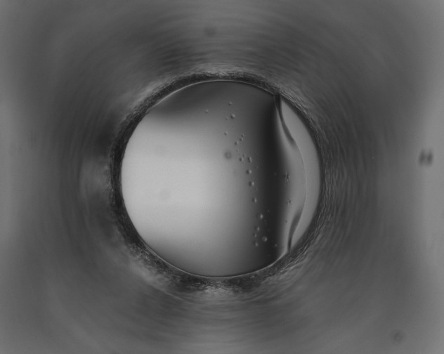 X0000090450256200708031224