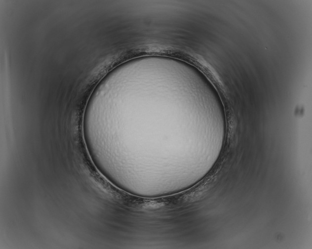 X0000090450257200708031224