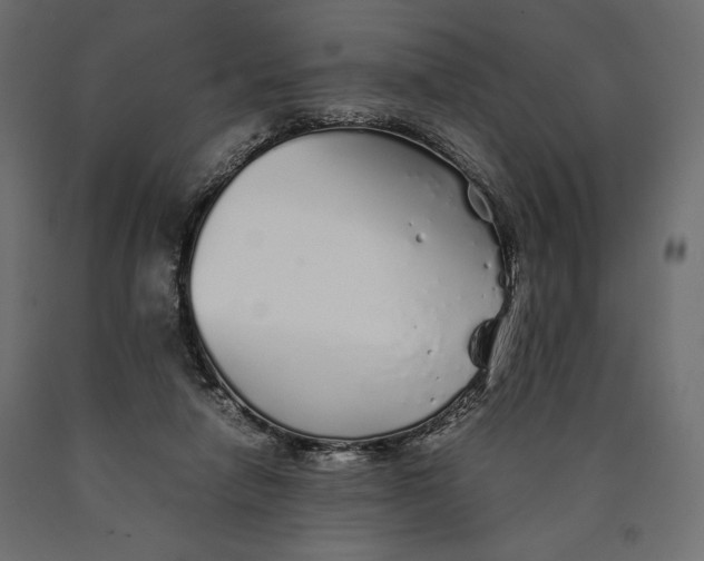 X0000090450258200708031224