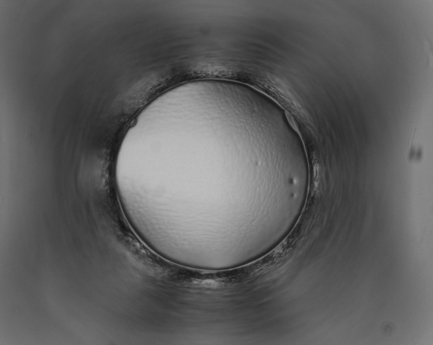 X0000090450259200708031224