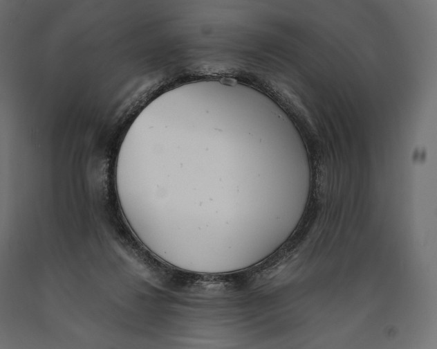 X0000090450260200708031224