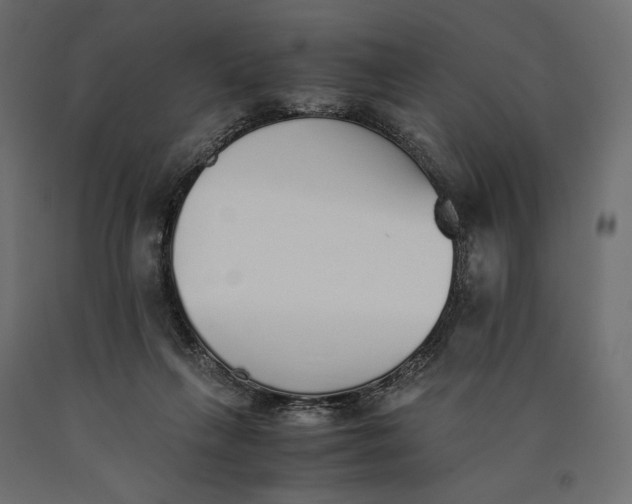 X0000090450263200708031224