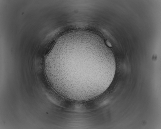 X0000090450264200708031224