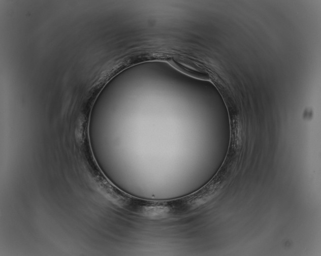 X0000090450266200708031224