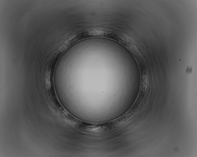 X0000090450267200708031224